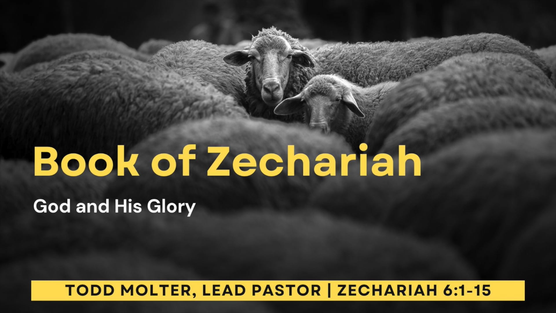 Zechariah 6:1-15 - Bethel Church of Houston