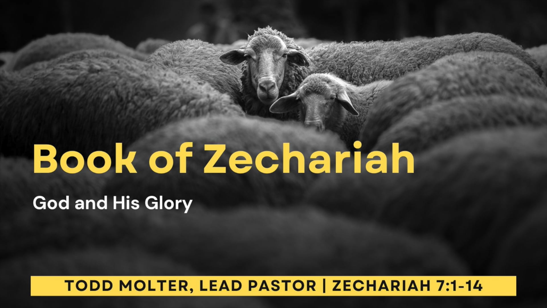 Zechariah 7:1-14