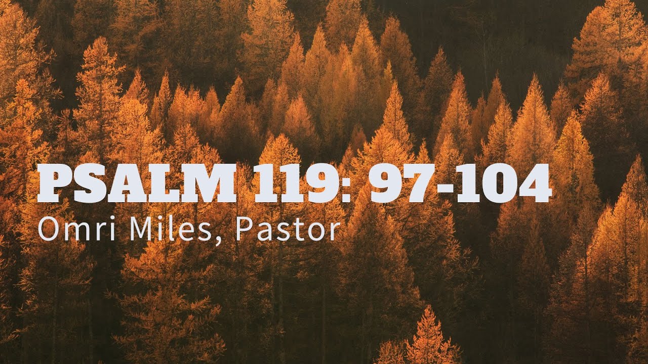 Psalm 119:97-104